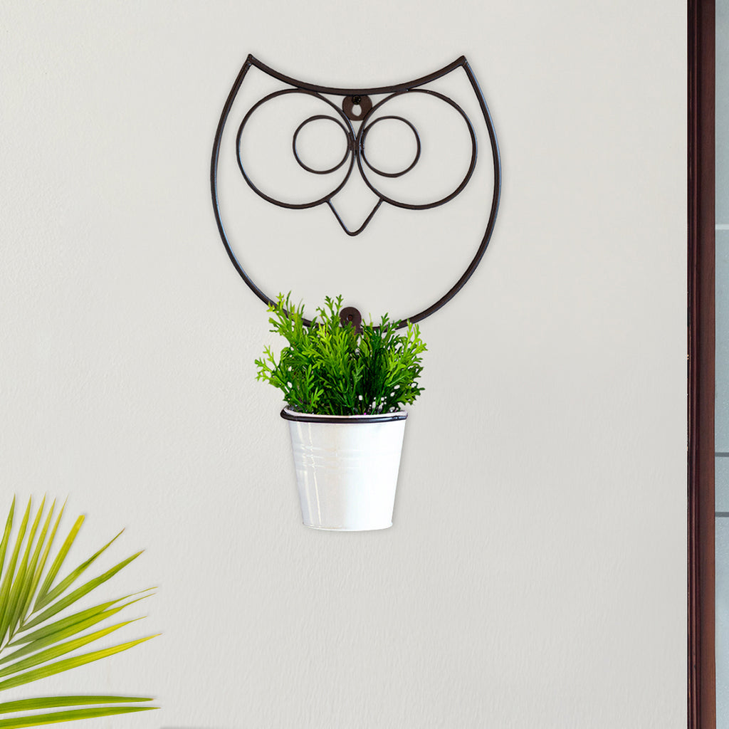 Wide Eyed Owl&