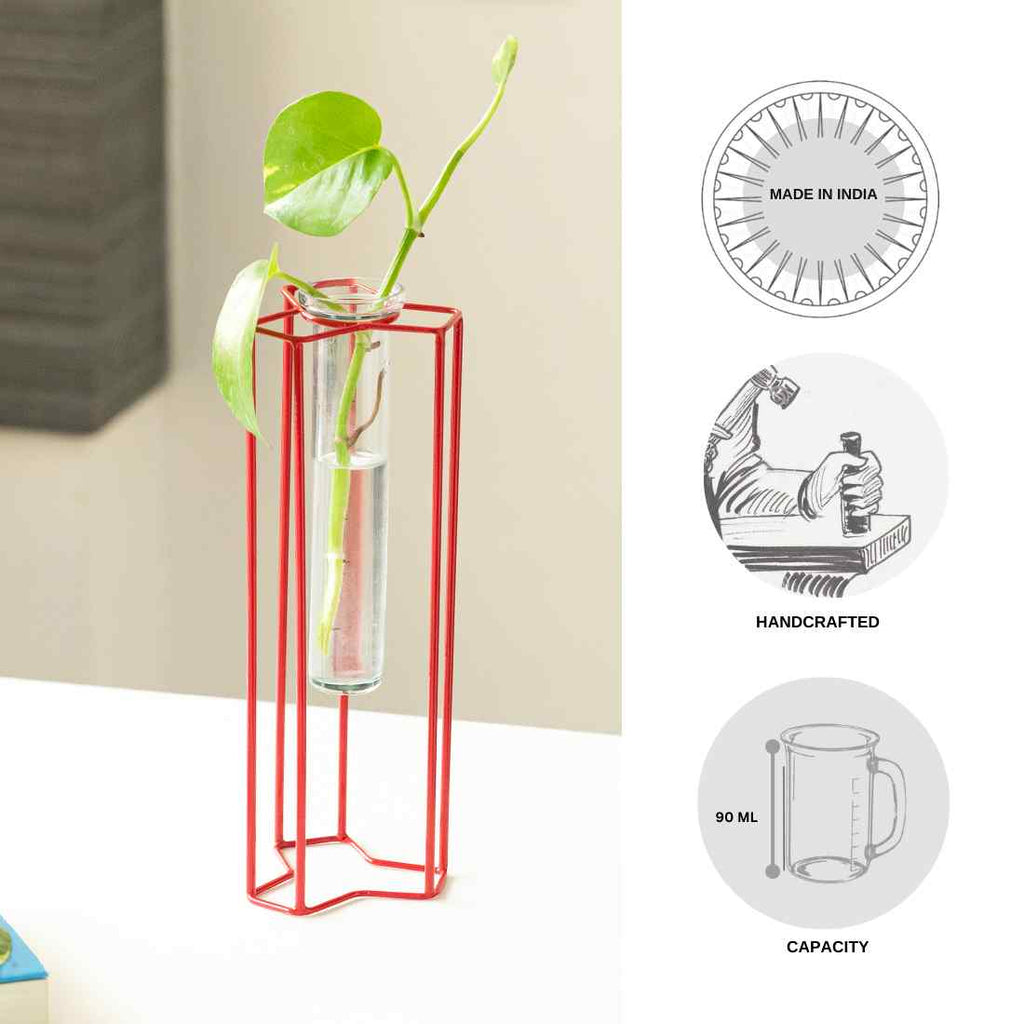 Modern Glass Garden&