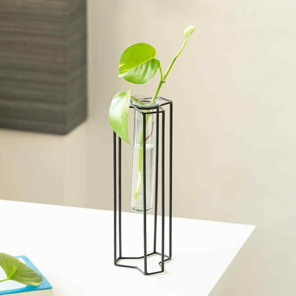 Modern Glass Garden&