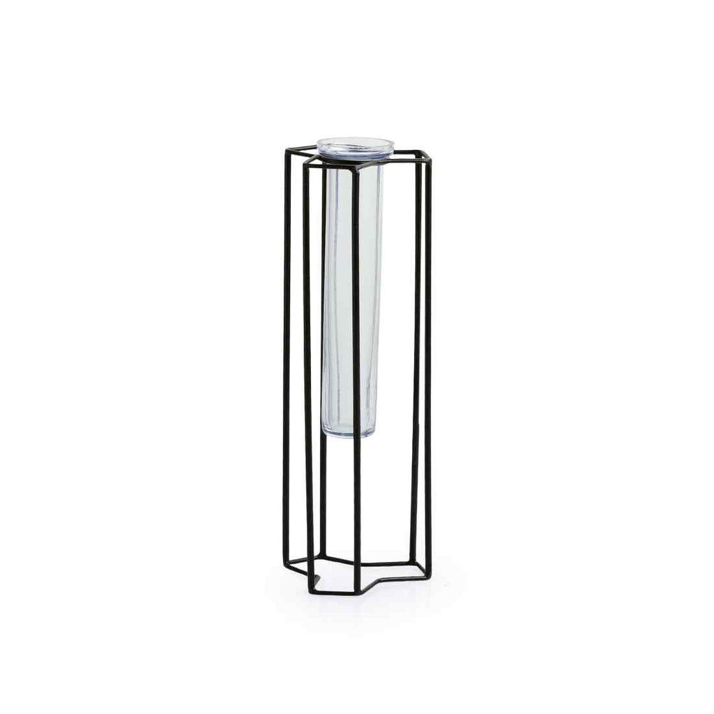 Modern Glass Garden&