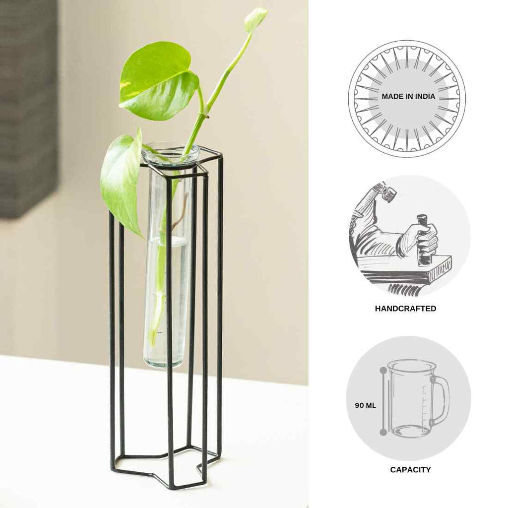 Modern Glass Garden&