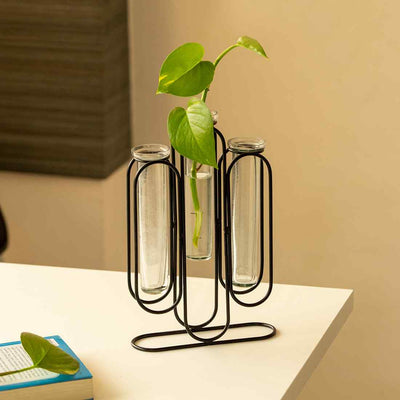 Modern Glass Garden' Test Tube Table Planter/Vases (10 Inch | Black)