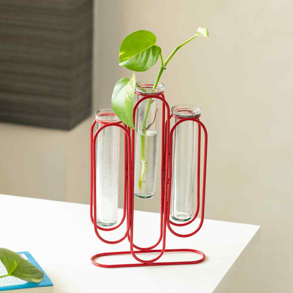 Modern Glass Garden&