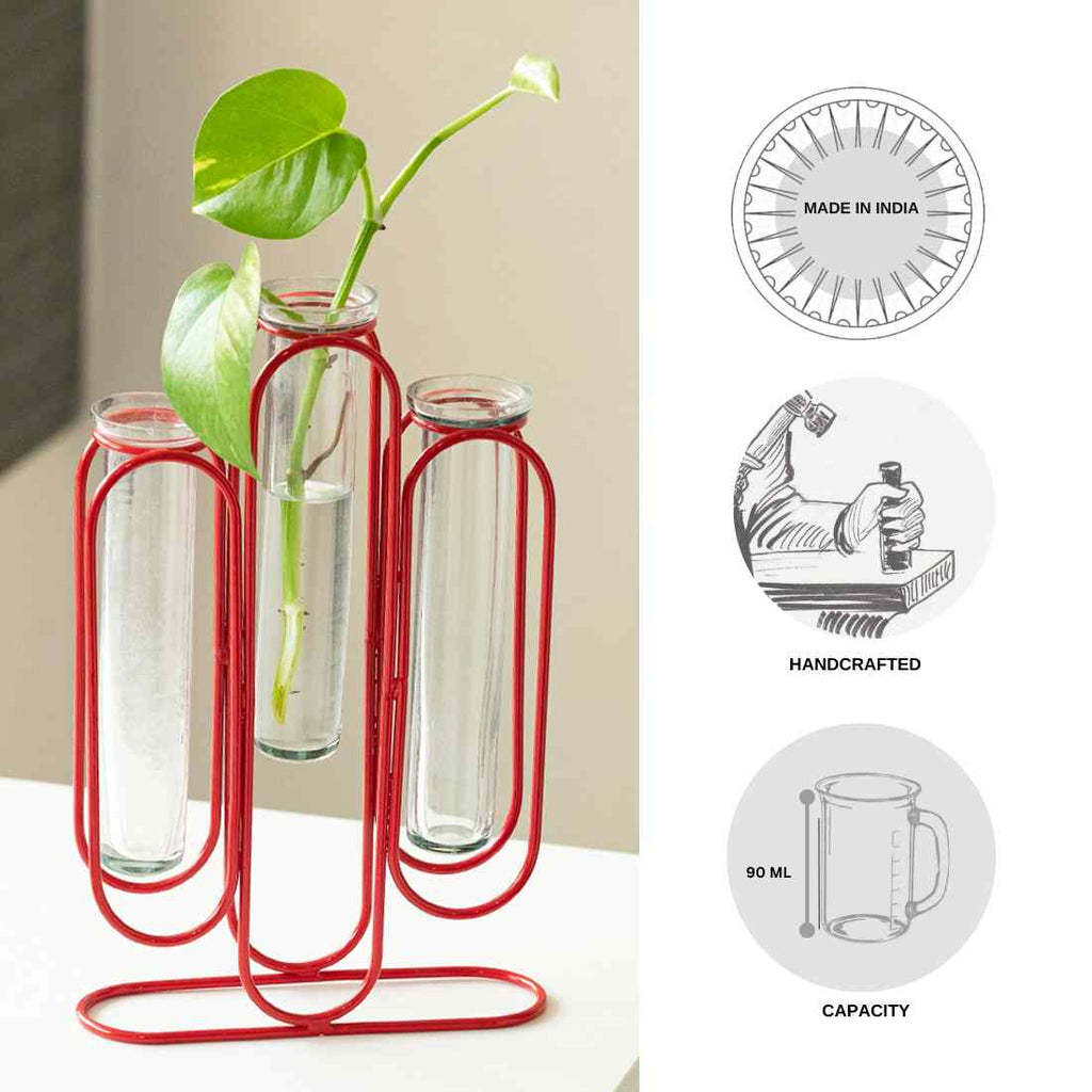 Modern Glass Garden&
