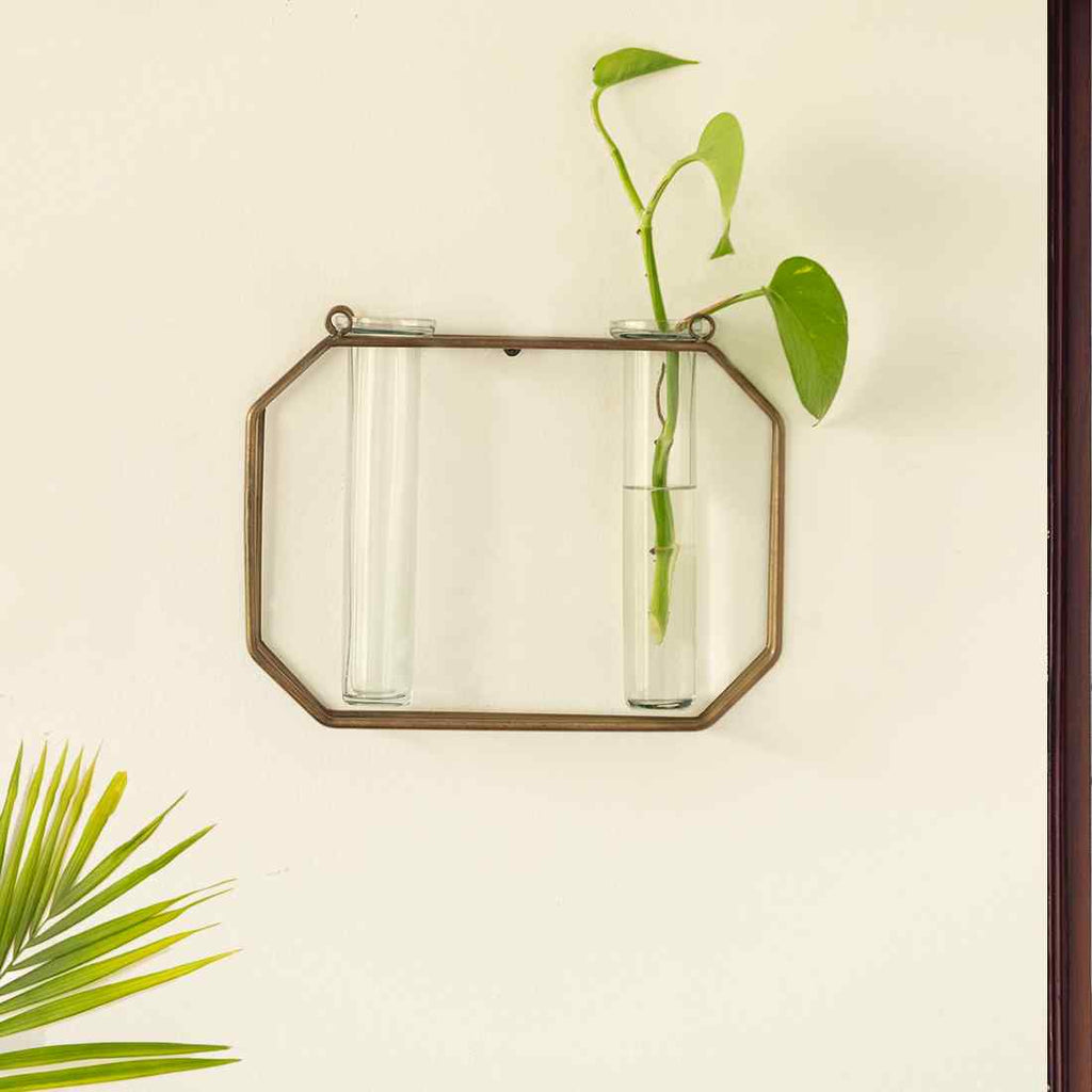 Modern Glass Garden&