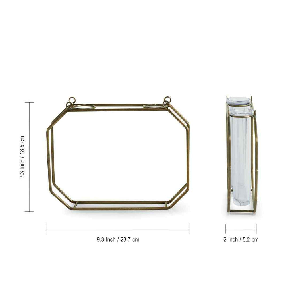 Modern Glass Garden&