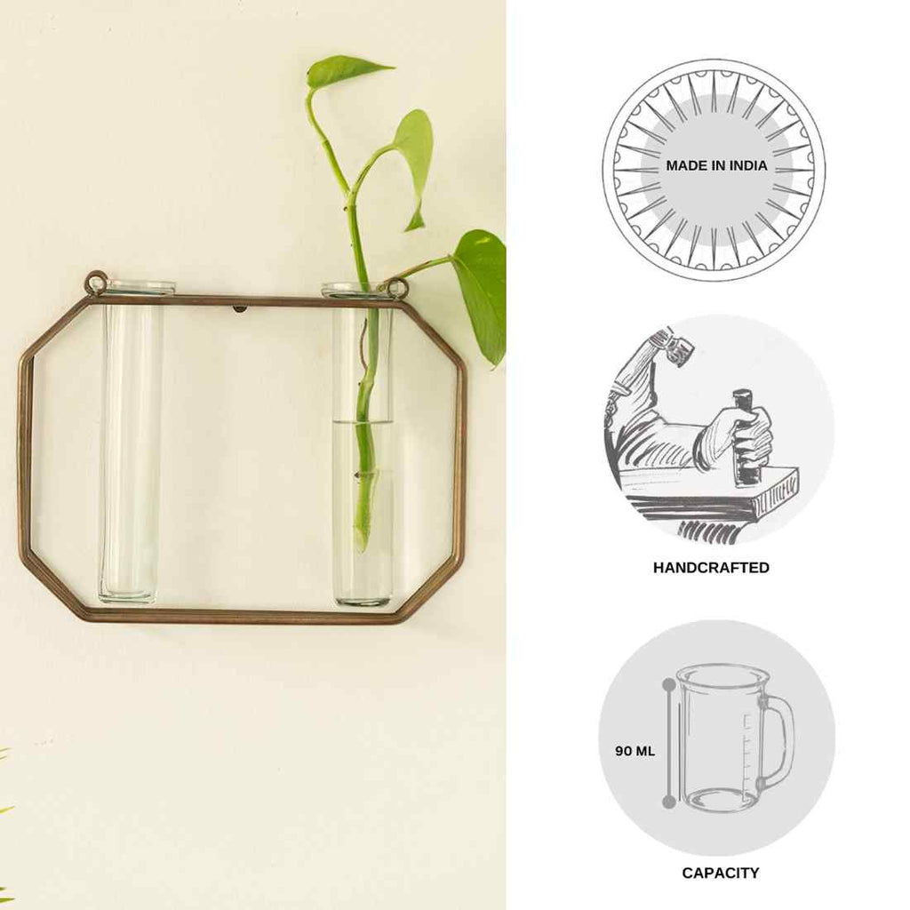 Modern Glass Garden&