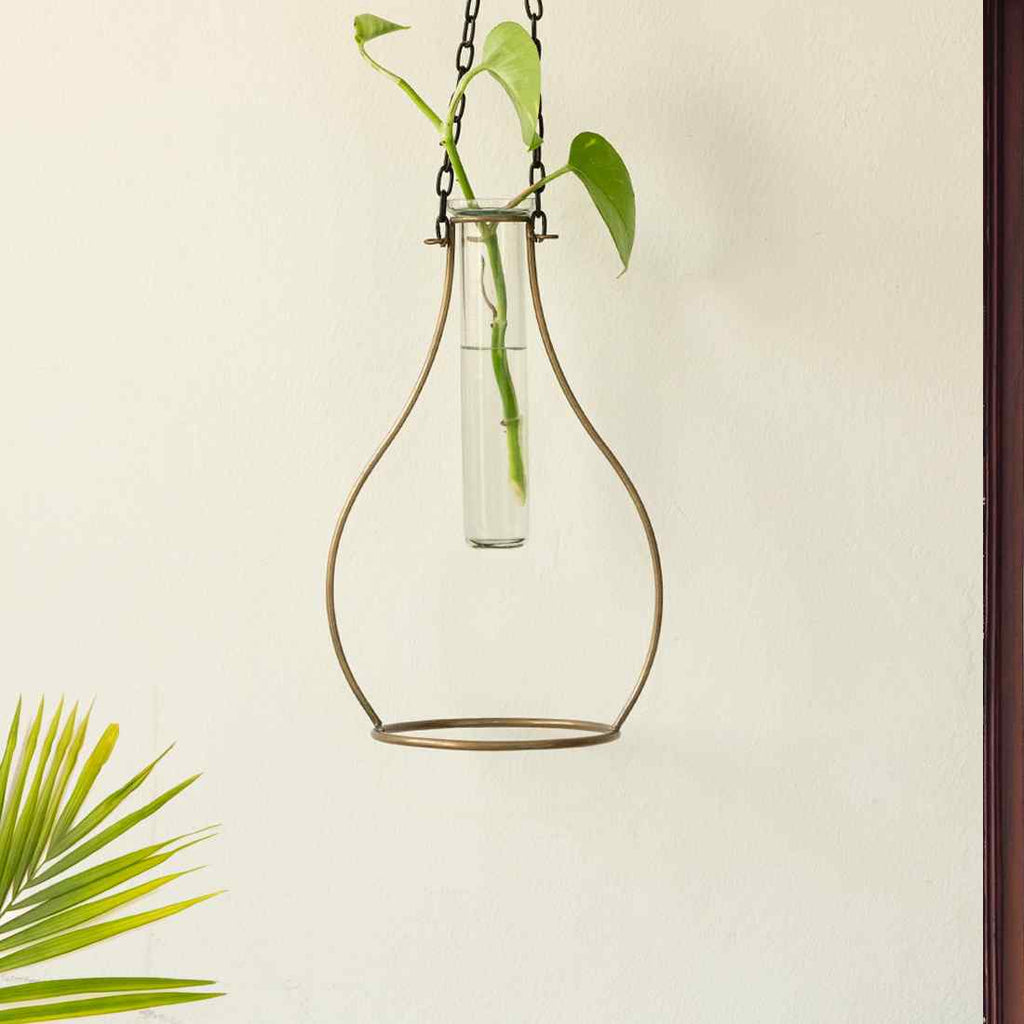 Modern Glass Garden&