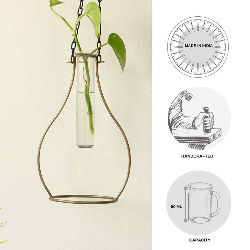 Modern Glass Garden&