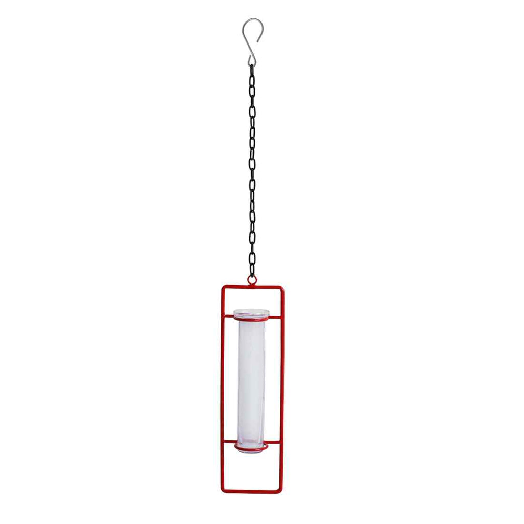 Modern Glass Garden&