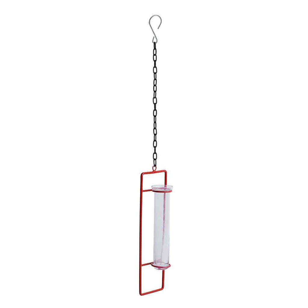Modern Glass Garden&