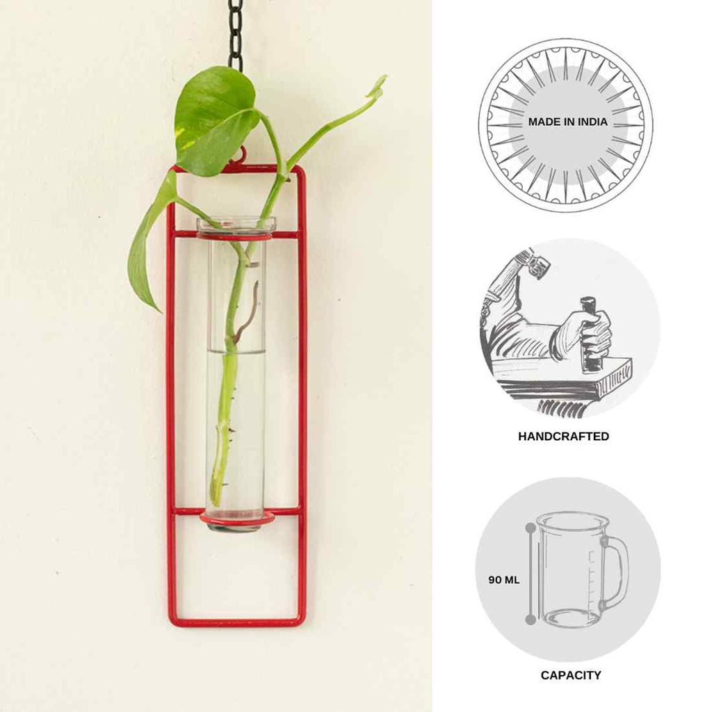 Modern Glass Garden&