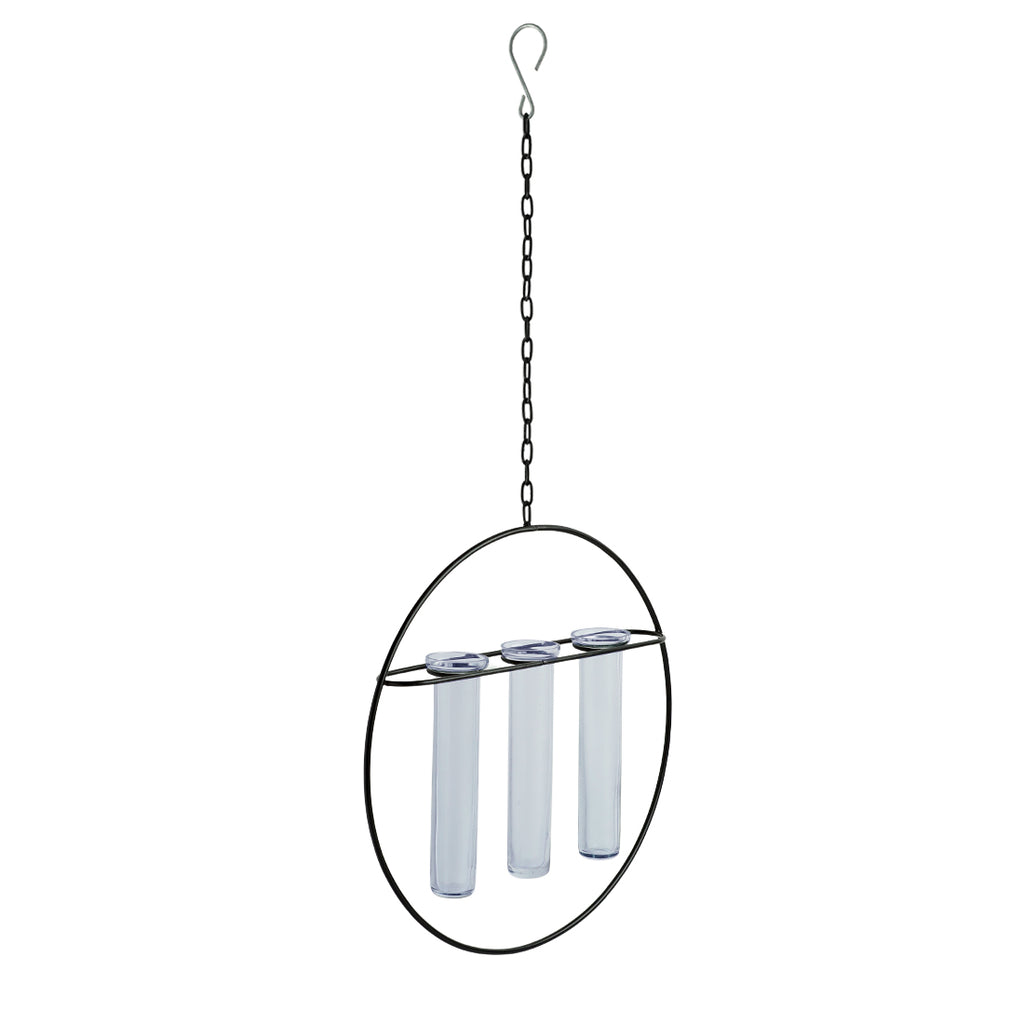 Modern Glass Garden&