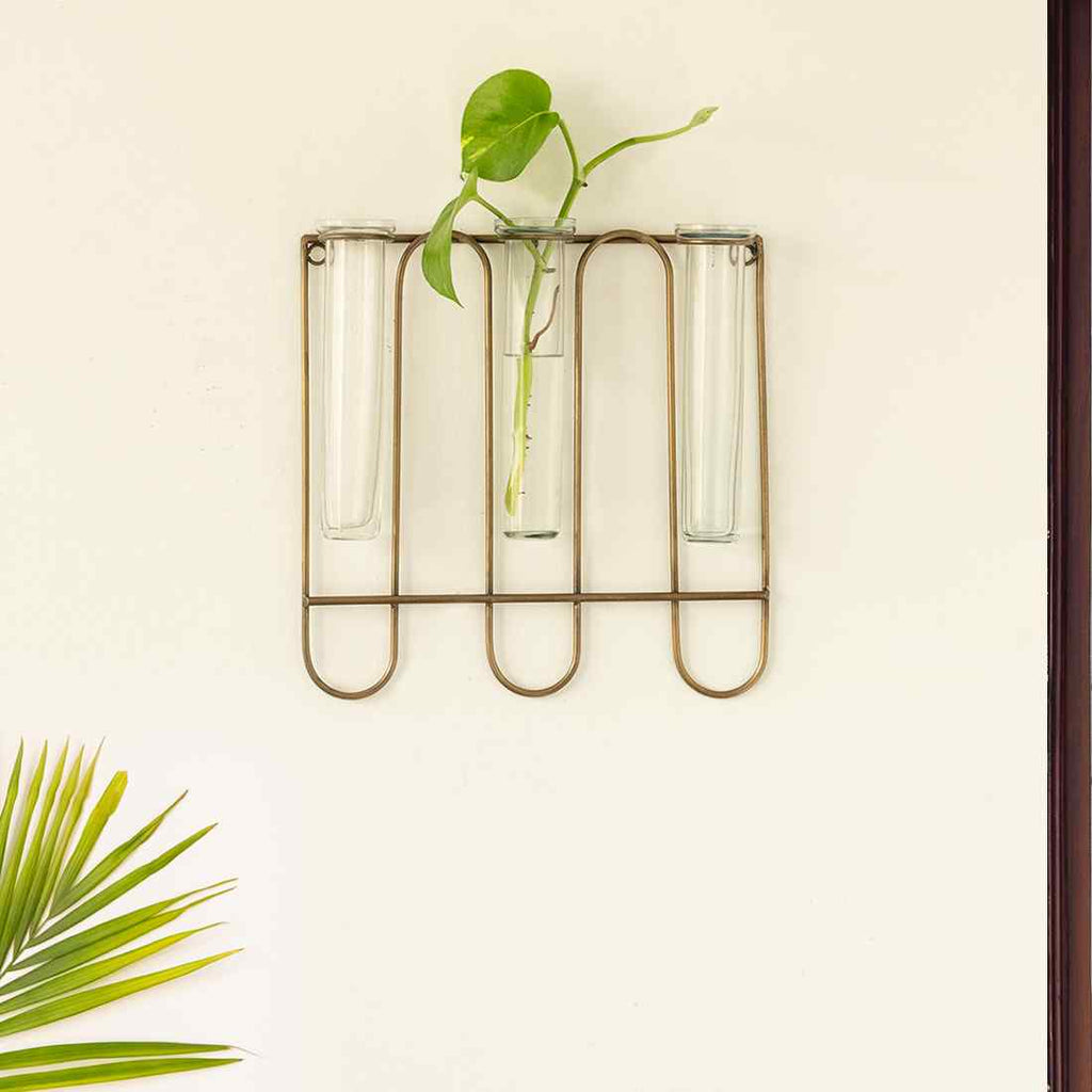 Modern Glass Garden&