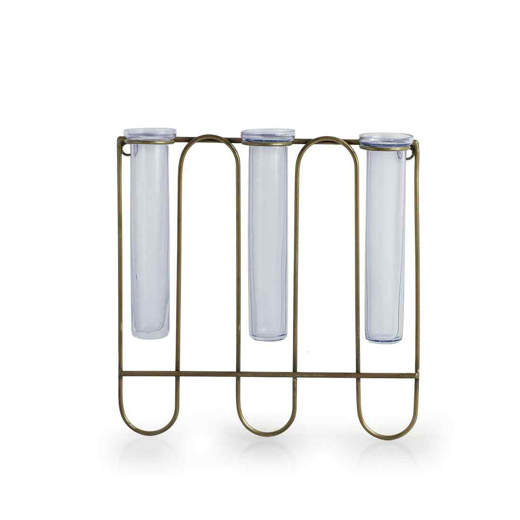 Modern Glass Garden&