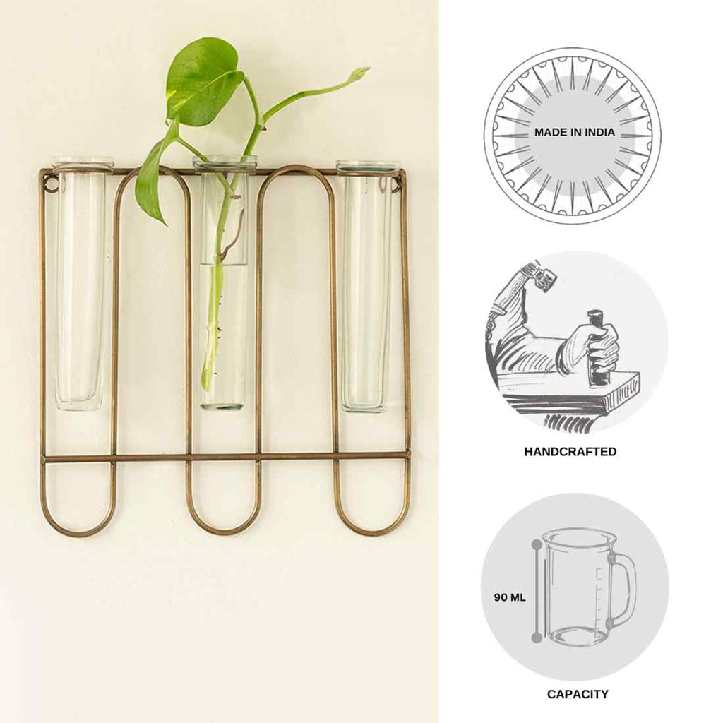 Modern Glass Garden&