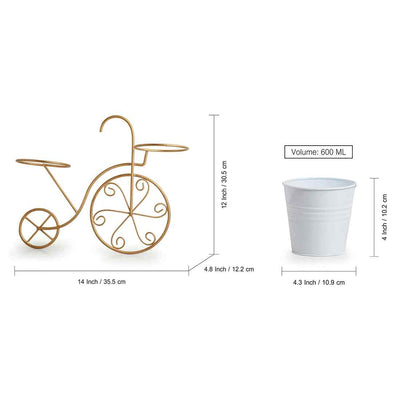 Cycle' Wall Planter Pots In Galvanized Iron (12 Inch | Brass Finish)