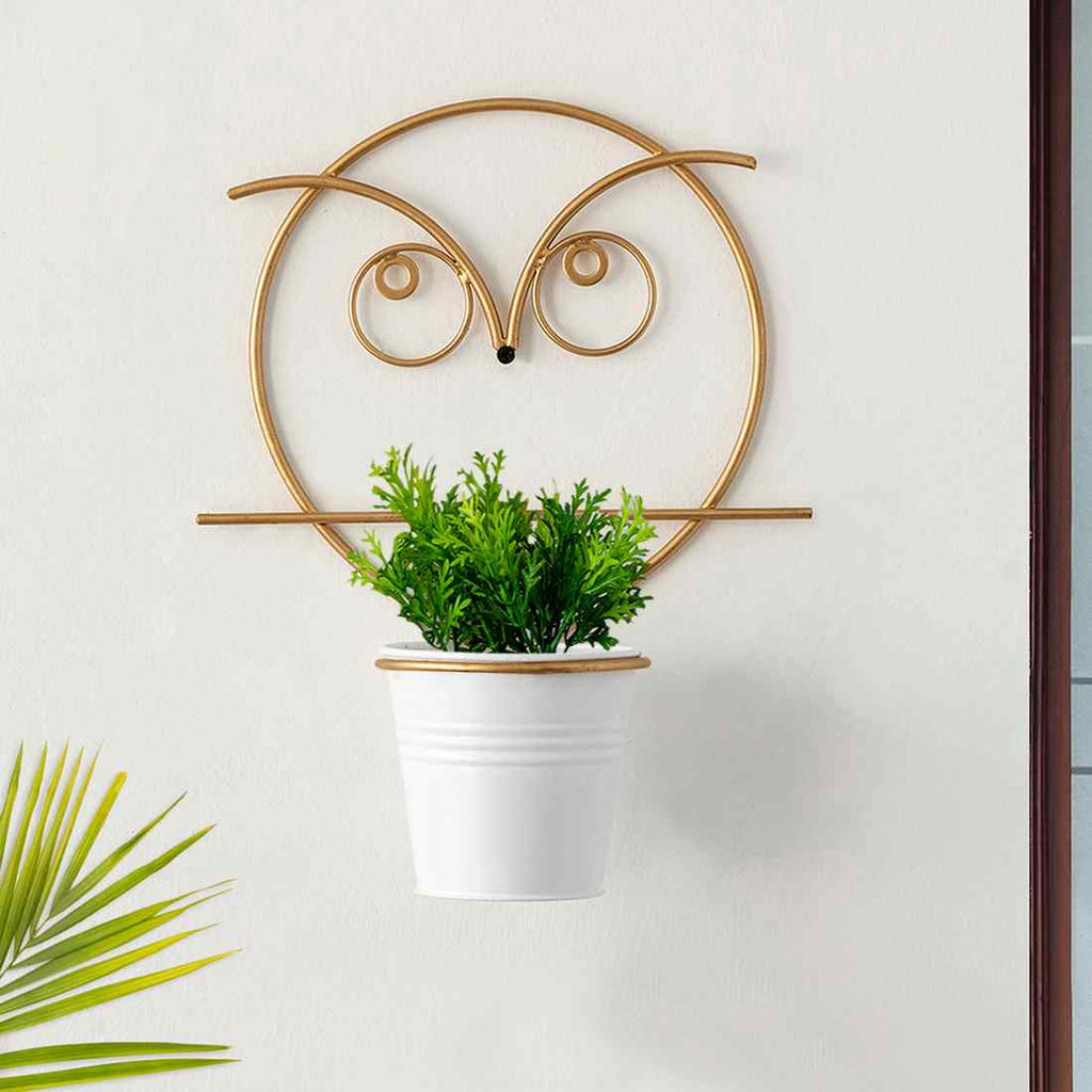 Angry Owl&