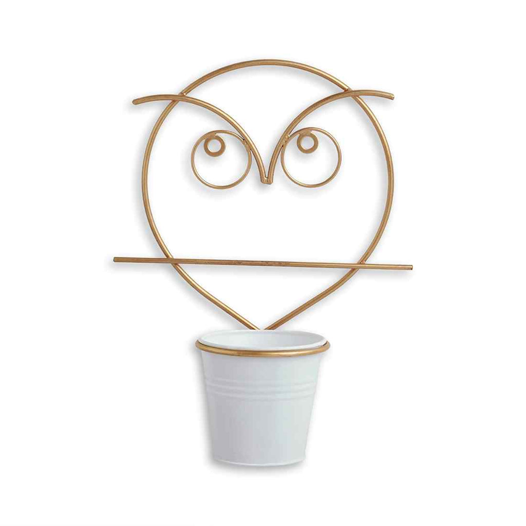 Angry Owl&