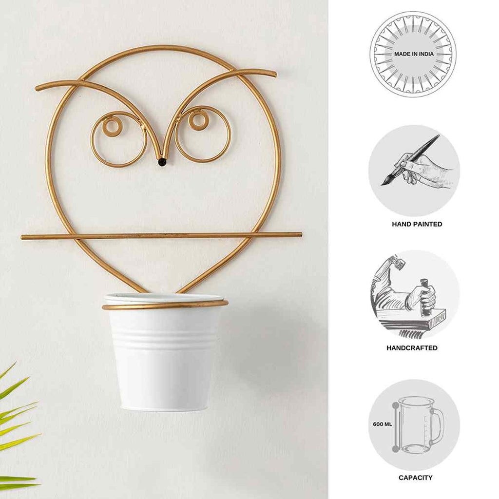 Angry Owl&