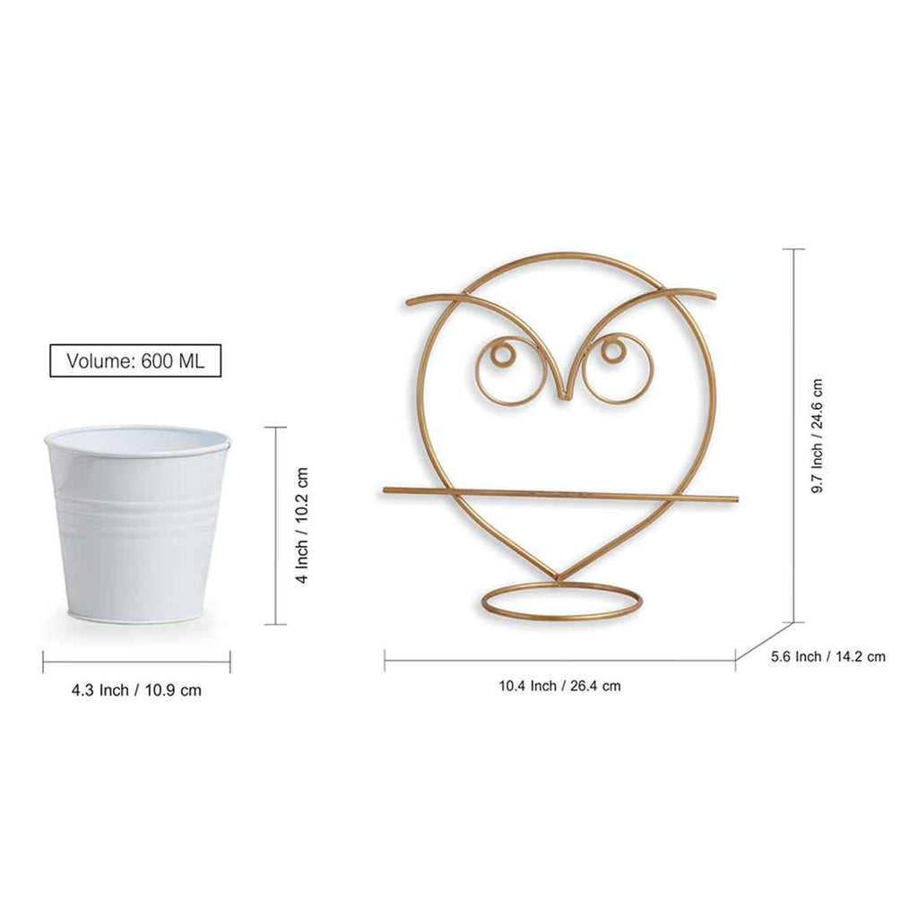 Angry Owl&