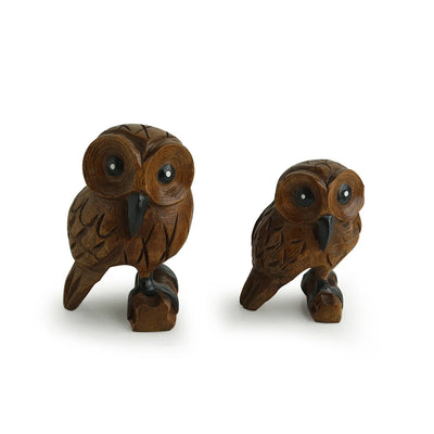 'The Lounging Owls' Hand Carved & Hand Painted Showpiece In Eucalyptus Wood