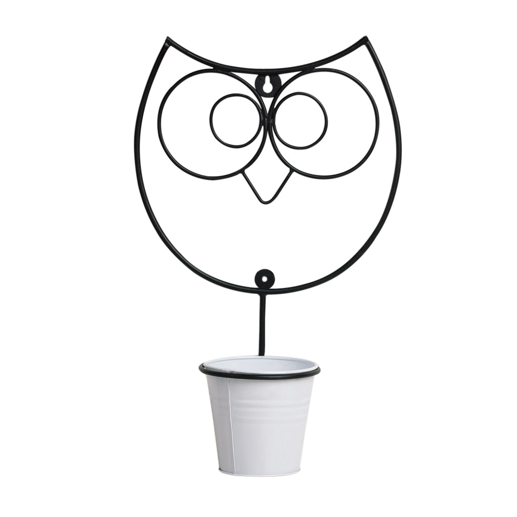 Wide Eyed Owl&