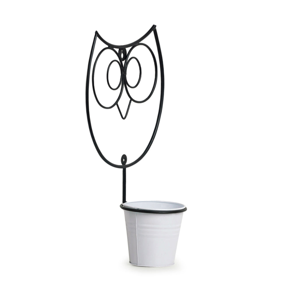 Wide Eyed Owl&