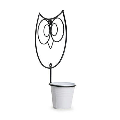 Wide Eyed Owl' Wall Planter Pot In Galvanized Iron (13 Inch | 1 Planter Pot)
