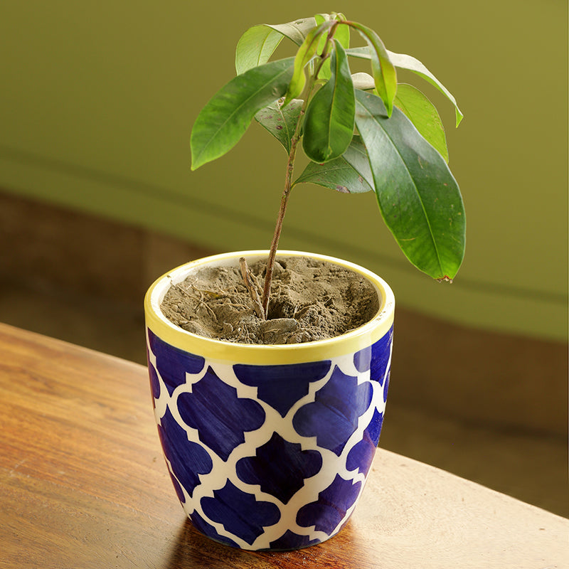 'The Morocco Pod' Handpainted Planter In Ceramic