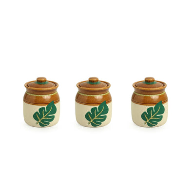 Shades of a Leaf' Hand-Painted Ceramic Jars With Tray (Set of 3 | 220 ml)