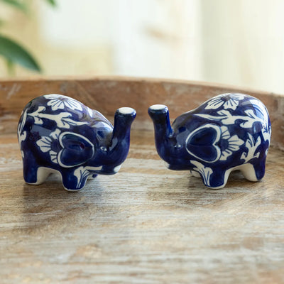 ExclusiveLane 'Floral Tusks' Ceramic Salt & Pepper Shakers Set (70 ML, Hand-Painted)