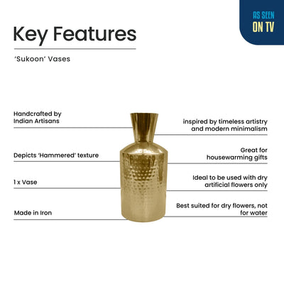 ExclusiveLane 'Sukoon' Iron Decorative Vase (Handcrafted, 28.1 Cm)