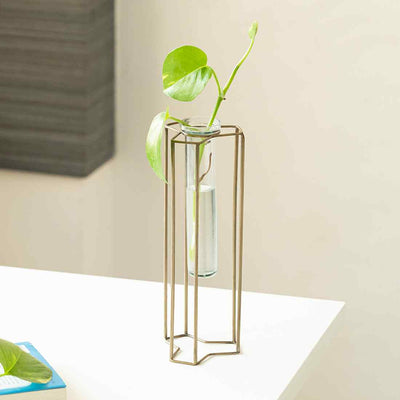 Modern Glass Garden' Test Tube Table Planter/Vase (10 Inch | Golden)