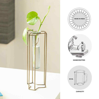 Modern Glass Garden' Test Tube Table Planter/Vase (10 Inch | Golden)