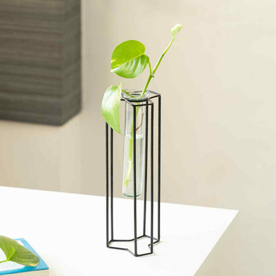 Modern Glass Garden' Test Tube Table Planter/Vase (10 Inch | Black)