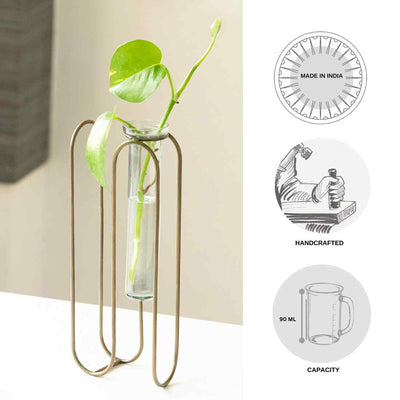 Modern Glass Garden' Test Tube Table Planter/Vase with Dual Face Holder (10 Inch | Golden)