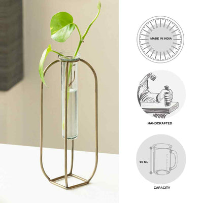 Modern Glass Garden' Test Tube Table Planter/Vase with Square Holder (10 Inch | Golden)