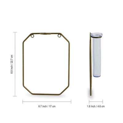 Modern Glass Garden' Test Tube Wall Planter/Vase with Octagonal Shape Holder (9 Inch | Golden)