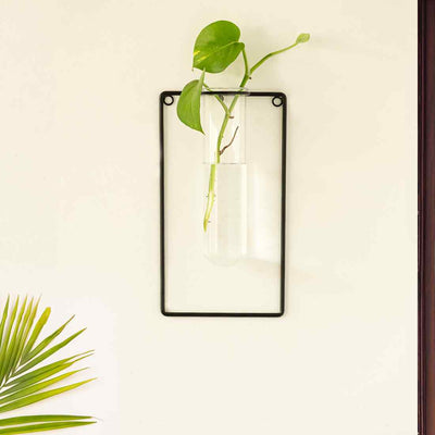 Modern Glass Garden' Test Tube Wall Planter/Vase (10 Inch | Black)