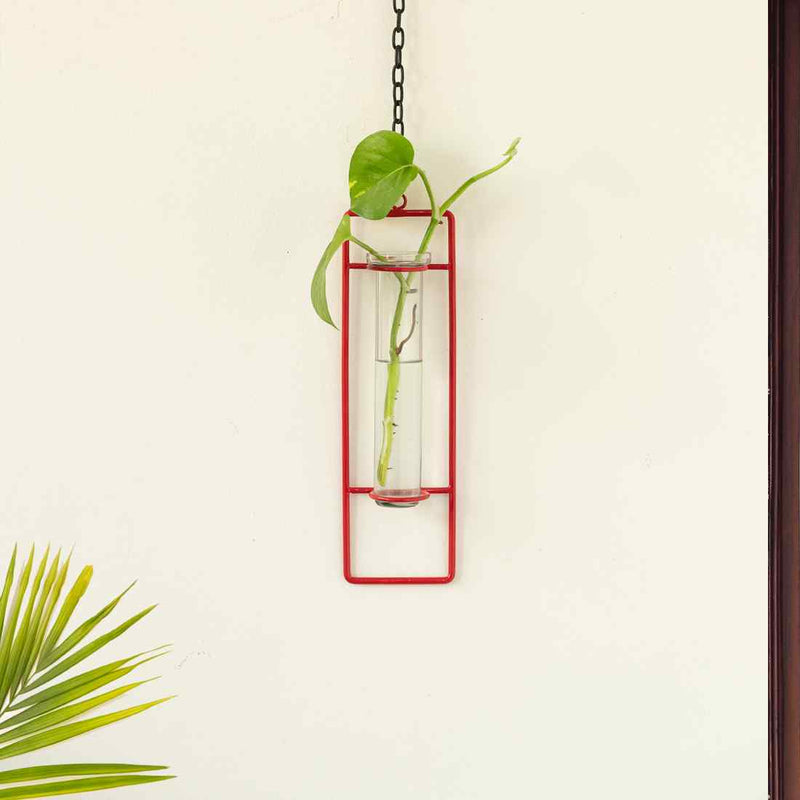 test tube hanging planter Modern Glass Garden' Test Tube Hanging Planter/Vase (25.4 cm
