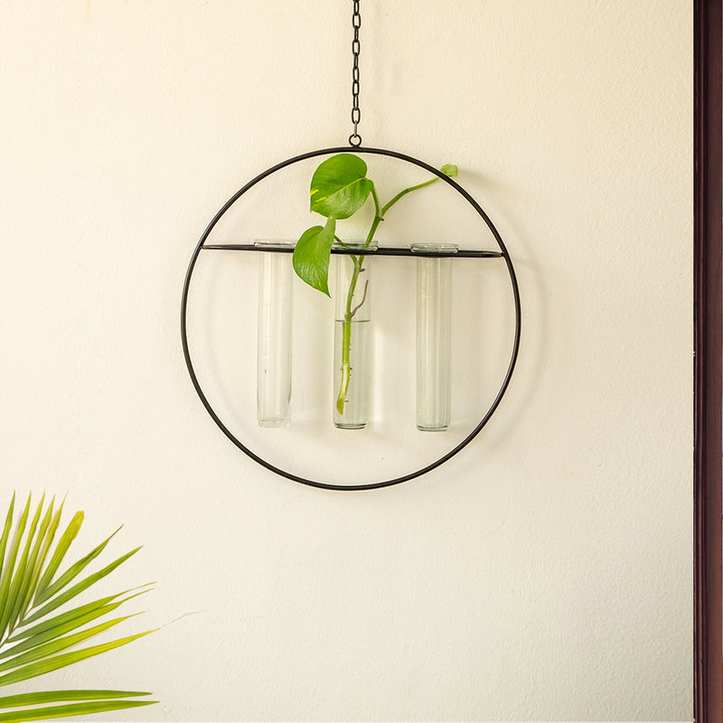 test tube hanging planter Modern Glass Garden' Test Tube Hanging Planter/Vases (30.5 cm