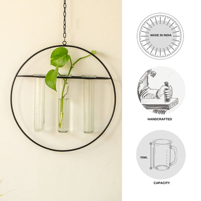 Modern Glass Garden' Test Tube Hanging Planter/Vases (12 Inch | Black)