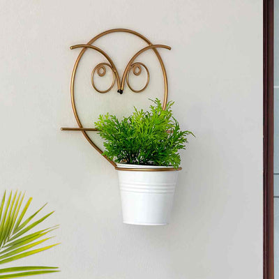 Angry Owl' Wall Planter Pot In Galvanized Iron (10 Inch | Brass Finish)