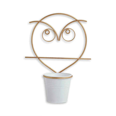 Angry Owl' Wall Planter Pot In Galvanized Iron (10 Inch | Brass Finish)