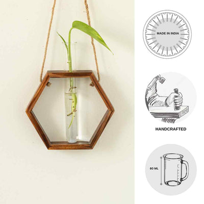 Hexagonal Glass Garden' Test Tube Wall Planter/Vase (7 Inch | Dark Brown)