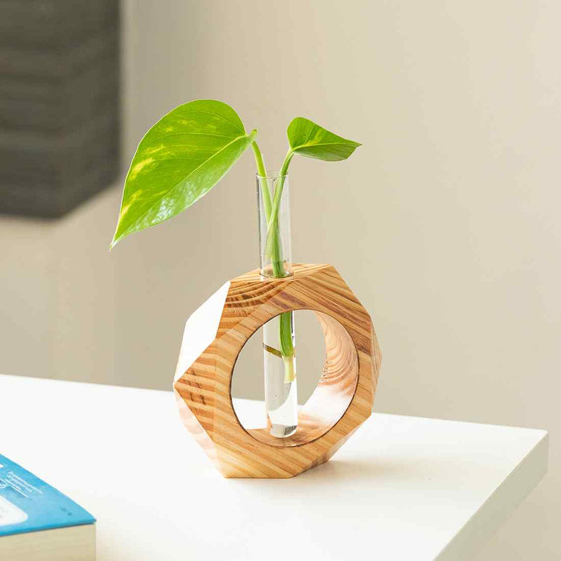 Honeycomb Glass Garden&