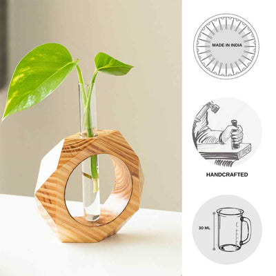 Honeycomb Glass Garden' Test Tube Table Planter/Vase (7 Inch | Light Brown)
