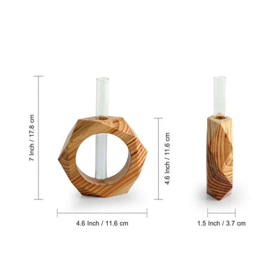 Honeycomb Glass Garden' Test Tube Table Planter/Vase (7 Inch | Light Brown)