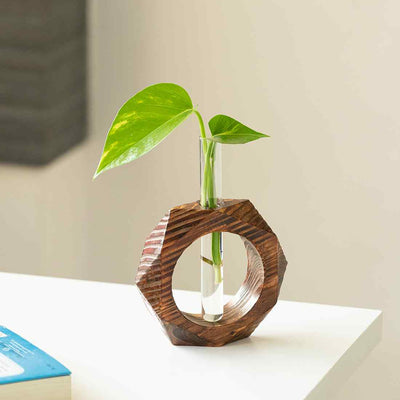 Honeycomb Glass Garden' Test Tube Table Planter/Vase (7 Inch | Dark Brown)